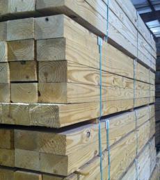 Southern Pine