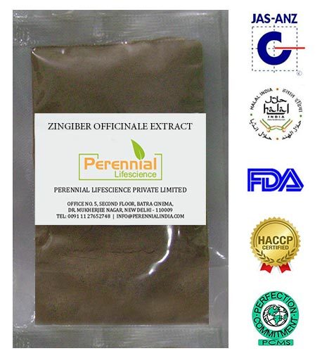 Zingiber Officinale Extract - Brown Powder, 5%-15% Gingerols | Reduce Blood Pressure, Treat Motion Sickness, Cure Fever & Cough, Anti-Inflammatory, Improve Digestion