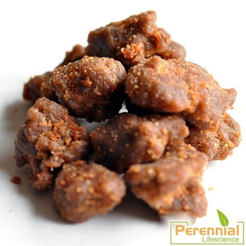 Asafoetida Resin