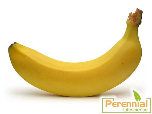 Natural Banana Powder