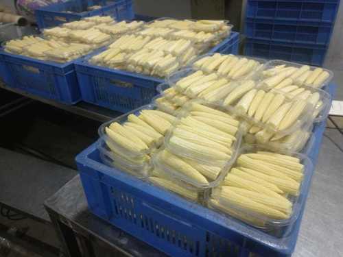 fresh Baby Corn