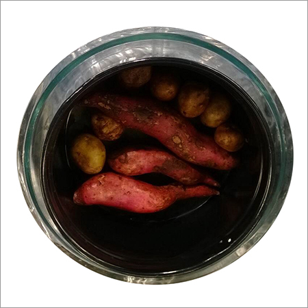 Celestino Solar Cooker