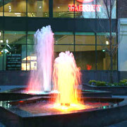 Colour Geyser Fountain