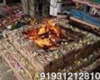 Puja Astrology Services
