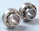 Rolling Bearings & Bearing Units