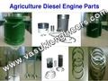 Agriculture Diesel Engine Spare Parts