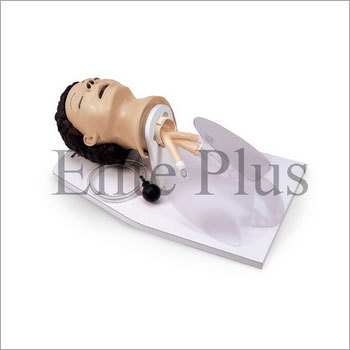 Adult Airway Management Trainer Manikin