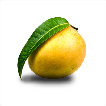 Alphonso Mango