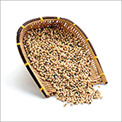 Nutritious Pulses