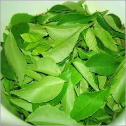 Curry Leaves