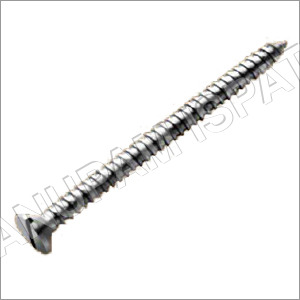 Stainless Steel Screws