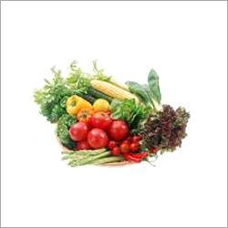 Fresh Green Vegetables
