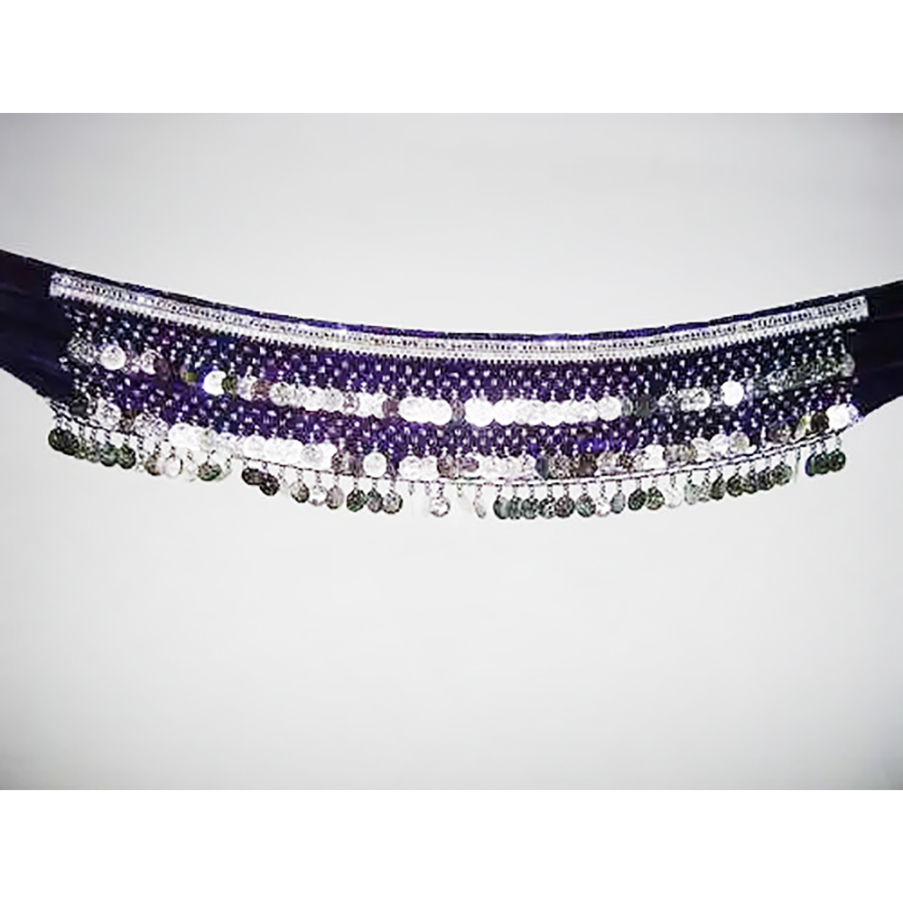 Belly Dance Purple Belts