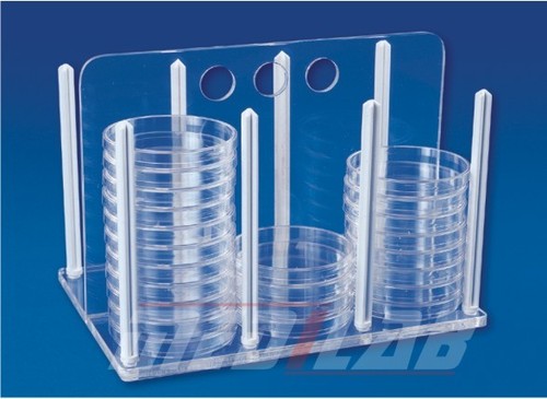 Rack of petri dishes