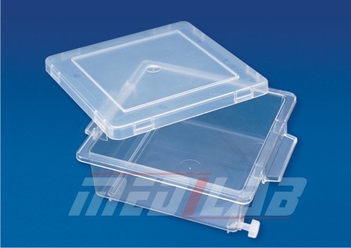 Staining box