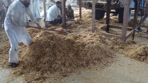 Paddy chipping machine