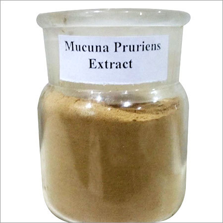 Mucuna Pruriens Extract Age Group: Suitable For All