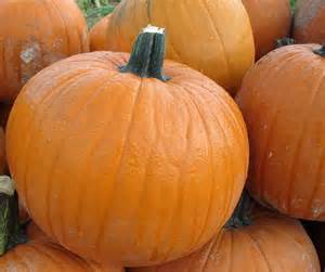 Fresh Pumpkin