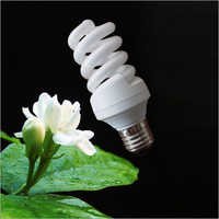 Compact Fluorescent Lamp