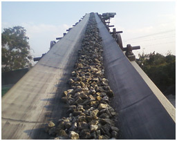 Heat Resistant Conveyor Belt
