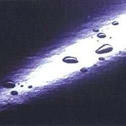 Oil Resistant Conveyor Belts
