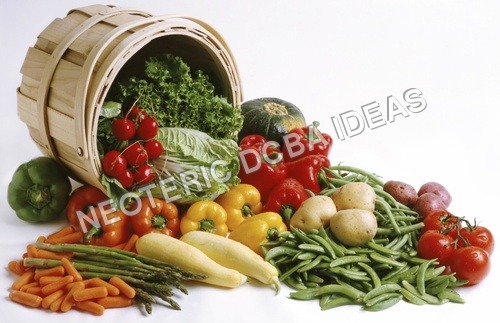 Green Vegetables - Bulk Packaging, Refrigerated Storage | Fresh, Nutritious, Sustainable, Versatile, Delicious