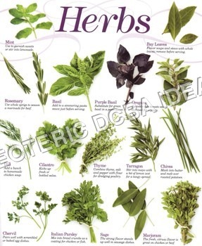All Herbales - Green Herb Mix Poster 12+ Varied Herbs Flavor Enhancement Culinary and Aromatic Uses