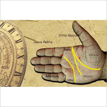 Career Astrology Services