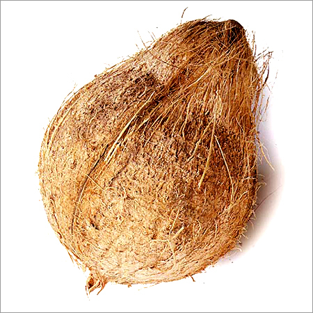 Coconuts