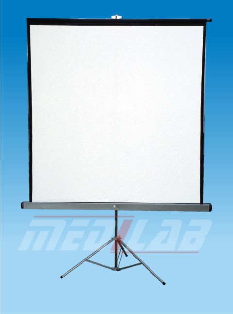 PROJECTOR SCREEN