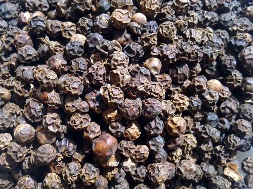 Black-Pepper