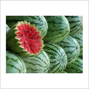 Fresh Watermelon