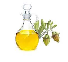 Jojoba