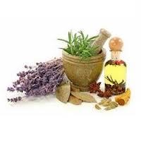 Tulsi oil