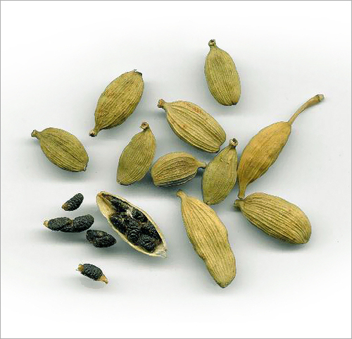 Green Cardamom