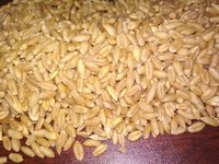 Brown Milling Wheat