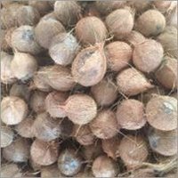 Semi Husked Coconut