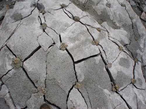 Rock Breaking Equipments