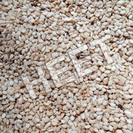 White Sesame Seed