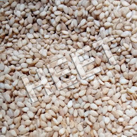 Pure Sesame Seed