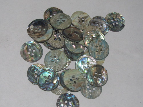 paua Shell Buttons