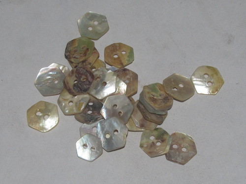 designer Shell Buttons