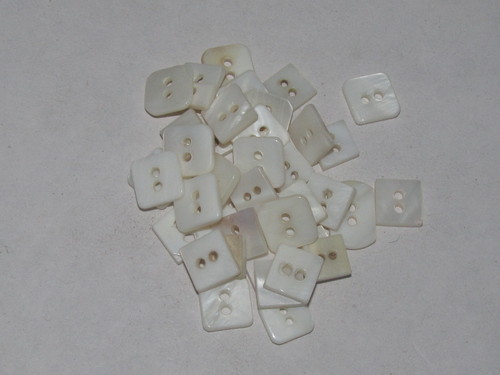 Square white Shell Buttons