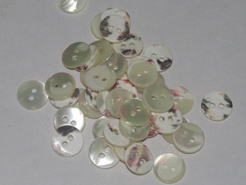 Sea Shell Buttons