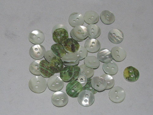 Budha Shell Buttons