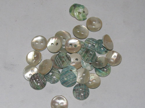 budha natural shell butttons