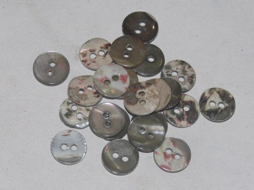 Grey Shell Buttons
