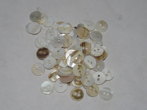 River Shell Buttons