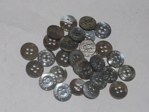Laser Shell Buttons