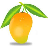 Kesar Mango